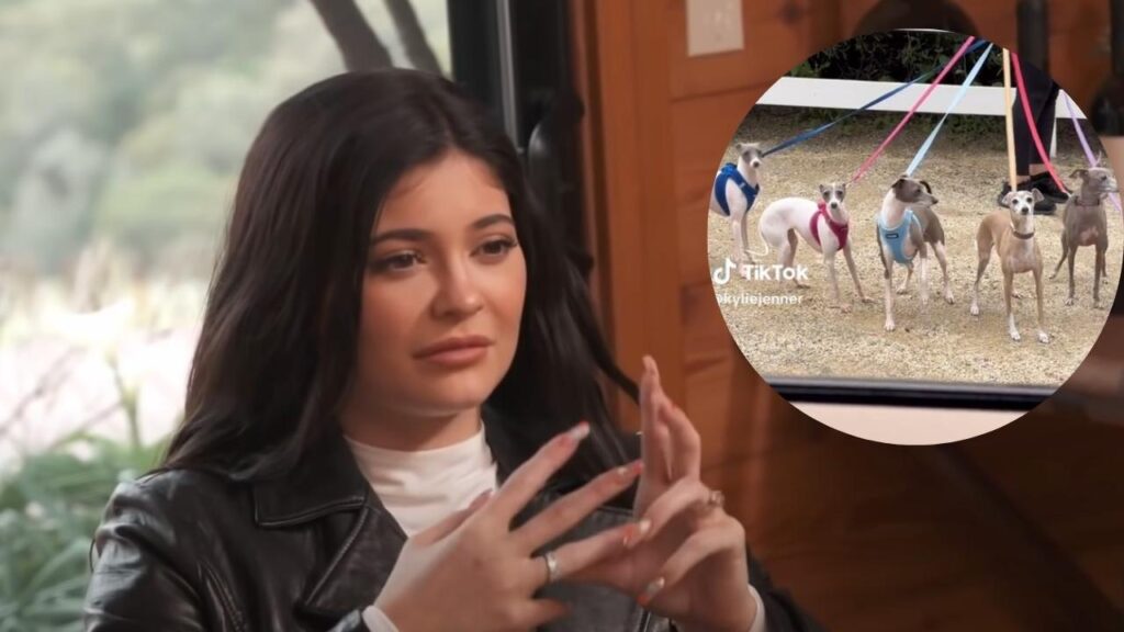 Is Kylie Jenner Expecting Baby Number 3? The Instagram Post That's Got