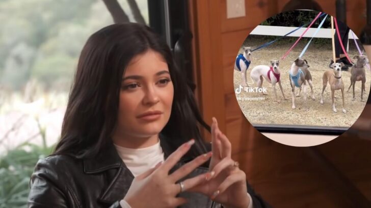 jordan 3 kylie jenner