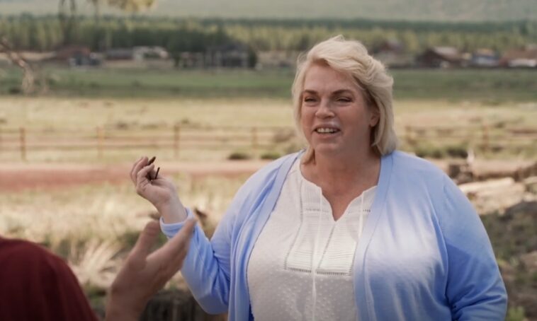 Sister Wives: Janelle Brown Finally Breaks Silence on Family Finances