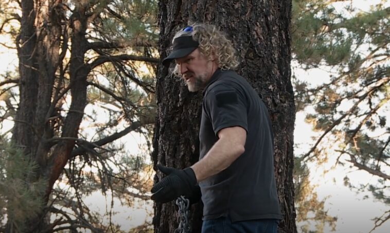 Sister Wives: Kody Brown’s Tree-Cutting Fail on Sister Wives Sparks Hilarious Fan Reactions
