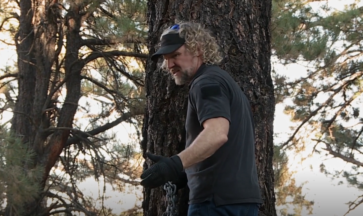Sister Wives: Kody Brown’s Tree-Cutting Fail on Sister Wives Sparks Hilarious Fan Reactions