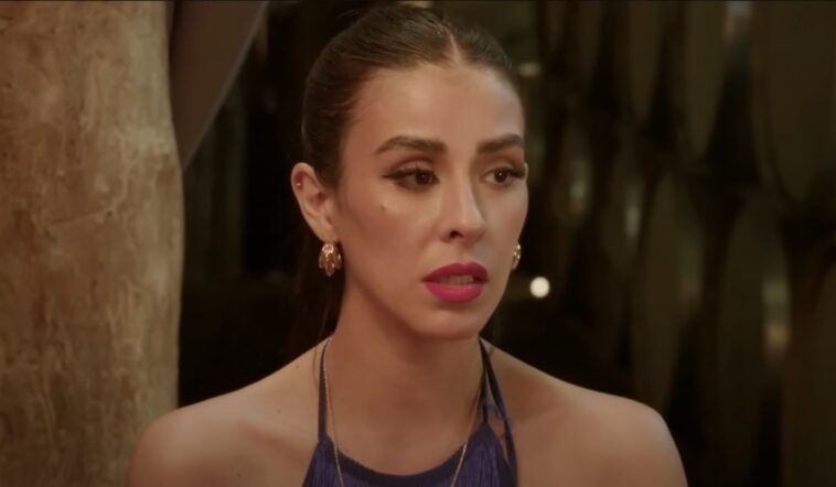 90 Day Fiancé: Any’s Secret Agenda Exposed: Is the Love Triangle Just a Visa Scam?